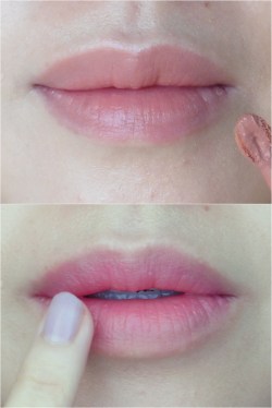06 Shu Uemura Tint in Gelato BG 01 Puffy Chocolate Review