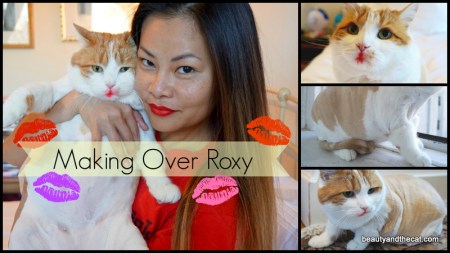 01 BeautyandtheCat Make Over Roxy the Cat