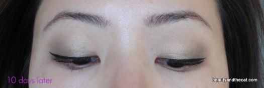 06 Sherri Permanent Makeup Review