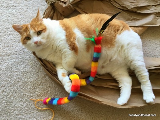 09-beautyandthecat-roxy