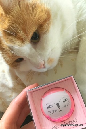 15-beautyandthecat-max-in-pocket